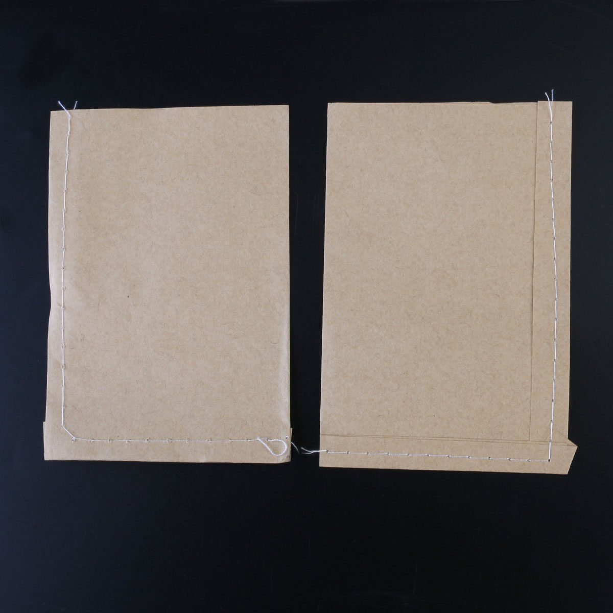 Food Storage Bag - 100 sacchetti in carta kraft cuciti